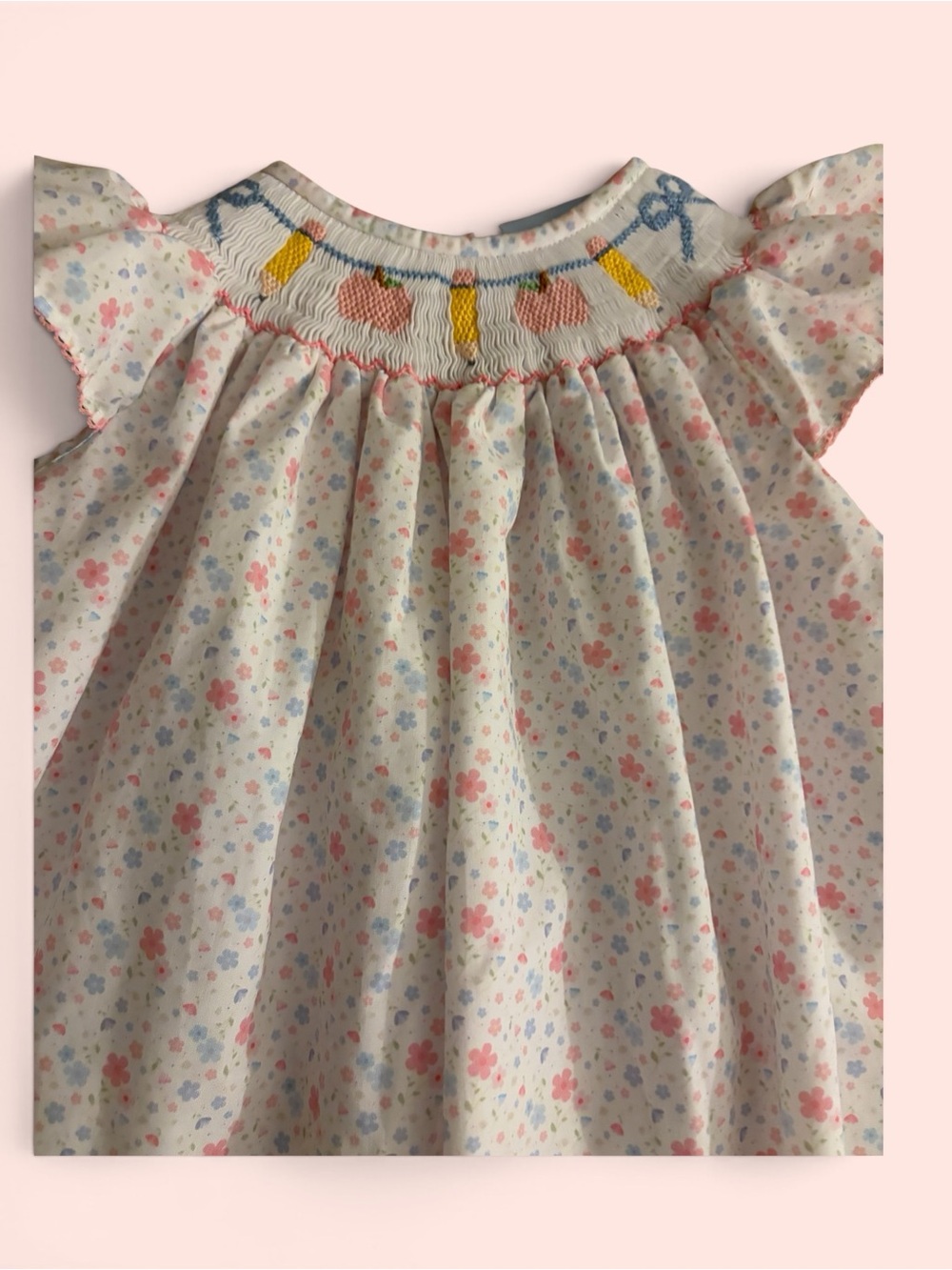 Classic Whimsy Back To School Dress With School Theme In Smocking NWT 24M